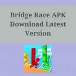 bridge race 3d